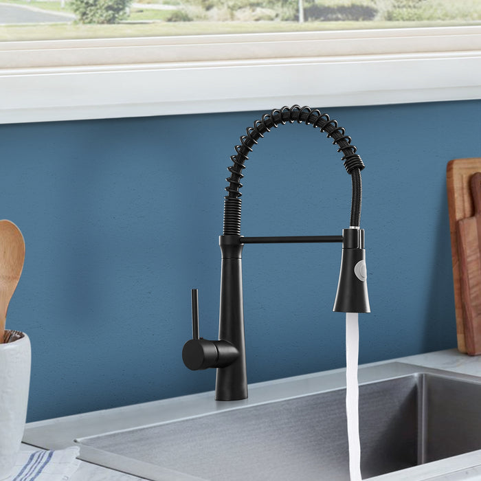 Modern Single Handle Pull Down Kitchen Faucet with Sprayer Dual Function Sprayhead in Matte Black