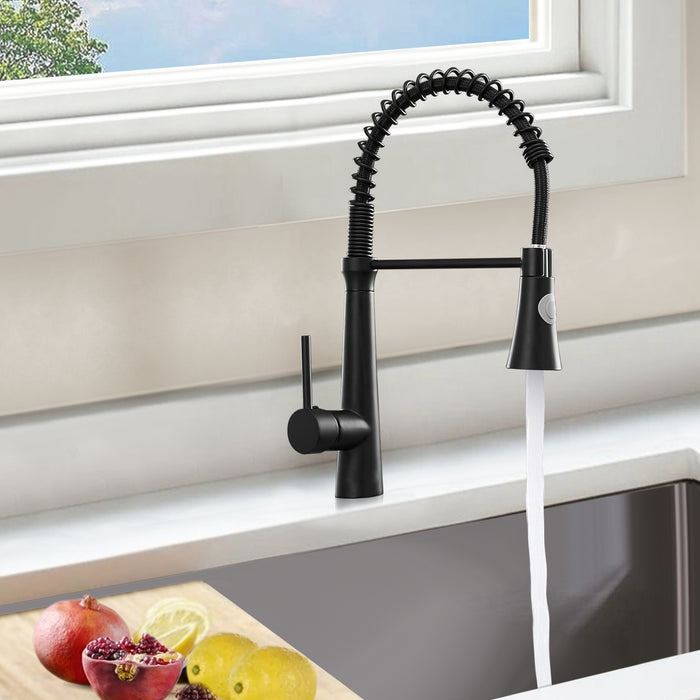 Modern Single Handle Pull Down Kitchen Faucet with Sprayer Dual Function Sprayhead in Matte Black