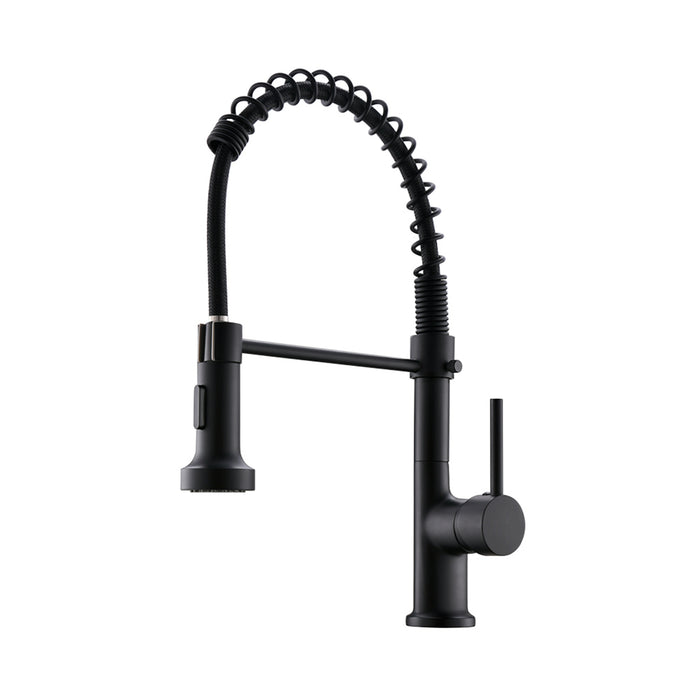 Single Handle Kitchen Faucet with Pull Down Sprayer Dual Function Sprayhead in Matte Black