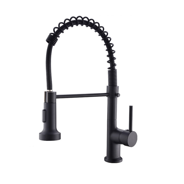Single Handle Kitchen Faucet with Pull Down Sprayer Dual Function Sprayhead in Matte Black