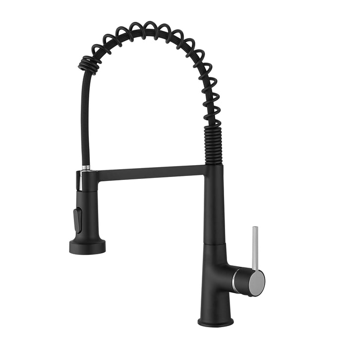Single Handle Pull Out Kitchen Faucet with Sprayer Dual Function Sprayhead in Modern Design