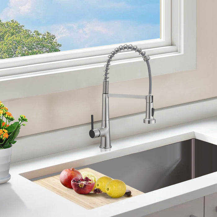 Single Handle Pull Out Kitchen Faucet with Sprayer Dual Function Sprayhead in Modern Design