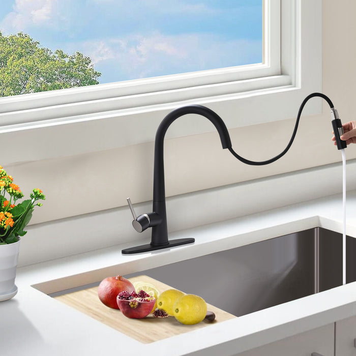 Single Handle Pull Out Kitchen Faucet with Deckplate and Sprayer Dual Function Sprayhead in Matte Black