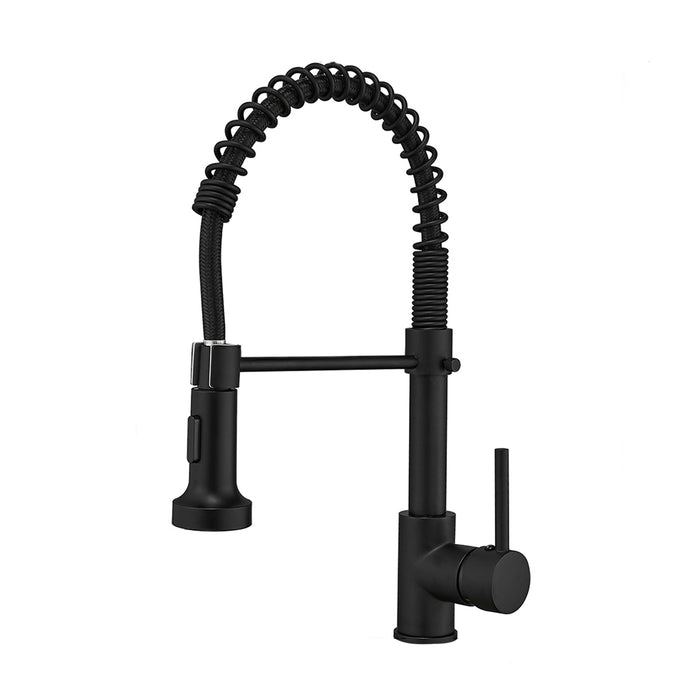 Single Handle Pull Down Kitchen Faucet with Sprayer 360° Rotation and Dual Function Sprayhead in Matte Black