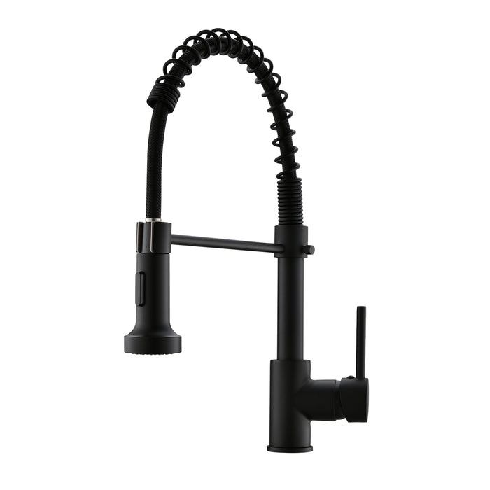 Single Handle Pull Down Kitchen Faucet with Sprayer 360° Rotation and Dual Function Sprayhead in Matte Black