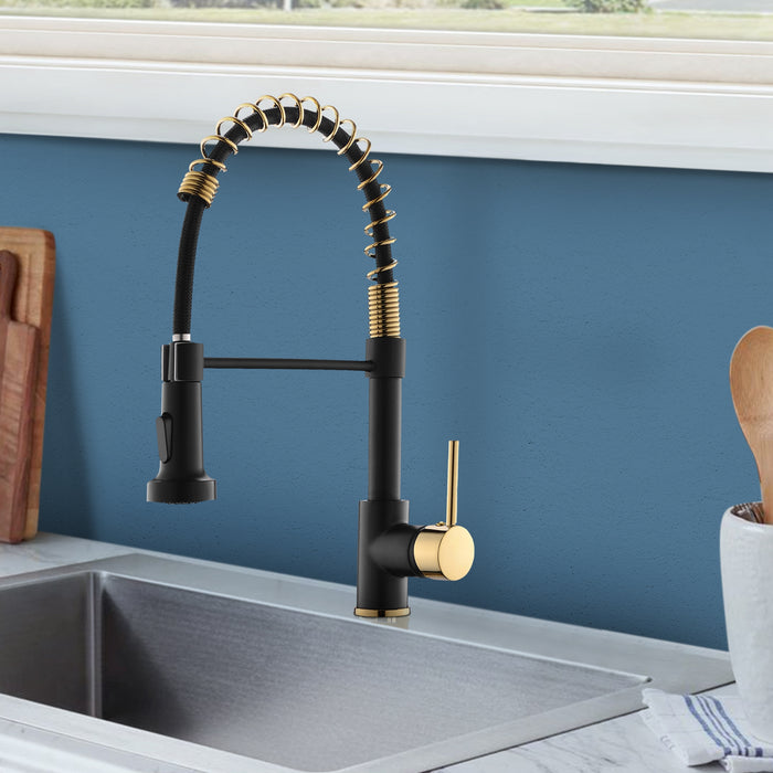 Single Handle Kitchen Faucet with Pull Down Sprayer Dual Function Spray head in Black Titanium Gold