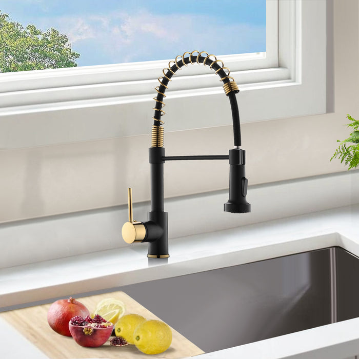 Single Handle Kitchen Faucet with Pull Down Sprayer Dual Function Spray head in Black Titanium Gold