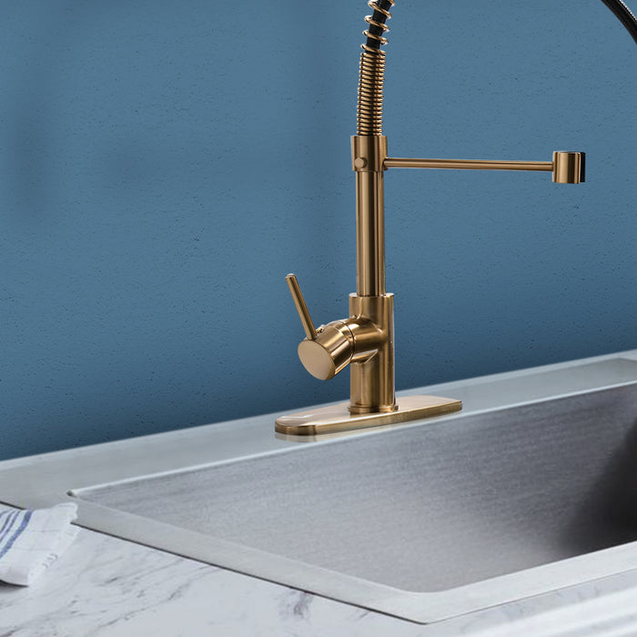Single Handle Pull Down Kitchen Faucet with Sprayer Dual Function Sprayhead and Deckplate in Brushed Gold