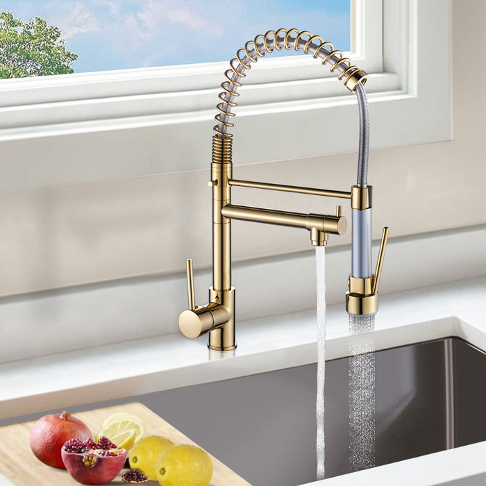 Single Handle Pull Down Kitchen Faucet with Sprayer Advanced Spray and Pot Filler in Gold