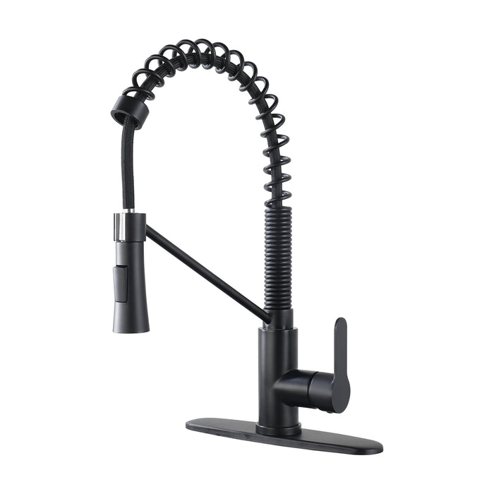 Single Handle Kitchen Sink Faucet with Pull Down Sprayer Utility Sink Faucet Single Hole Stainless Steel 1.8 GPM in Matte Black