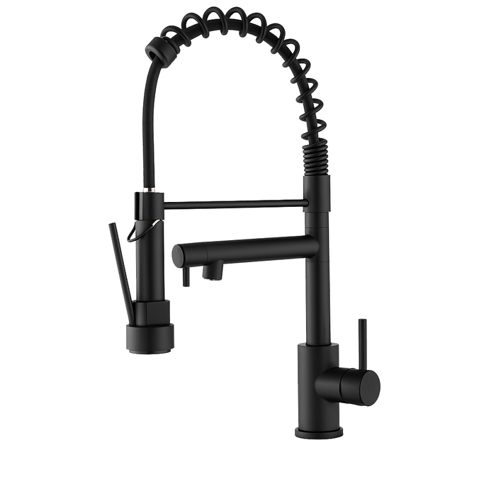 Single Handle Single Hole 2- Function Stainless Steel Kitchen Faucet