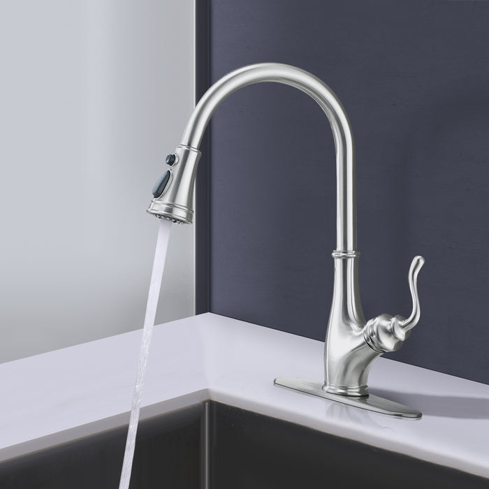 Kitchen Faucet with Pull Out Sprayer High Arc Single Handle Stainless Steel Faucet
