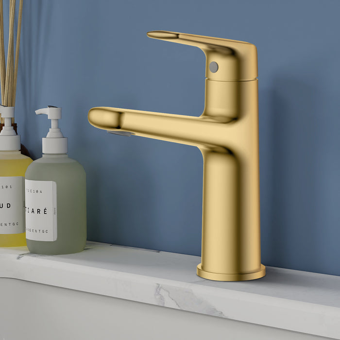 Topcraft Single-Handle Bathroom Faucet with Pop-Up Drain