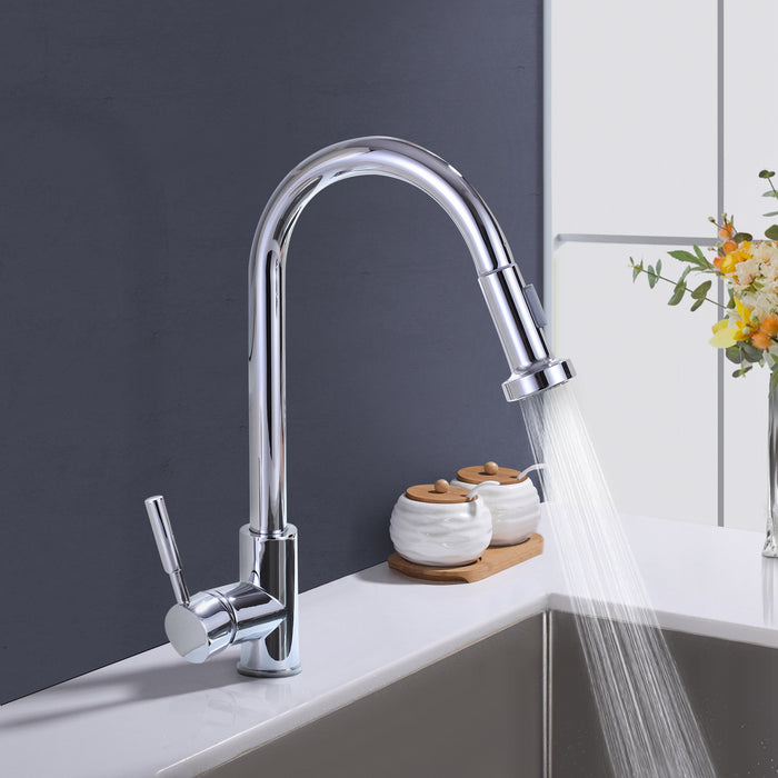 Single-Handle 2-Spray Stainless Steel Kitchen Faucet with Pull Down Sprayer