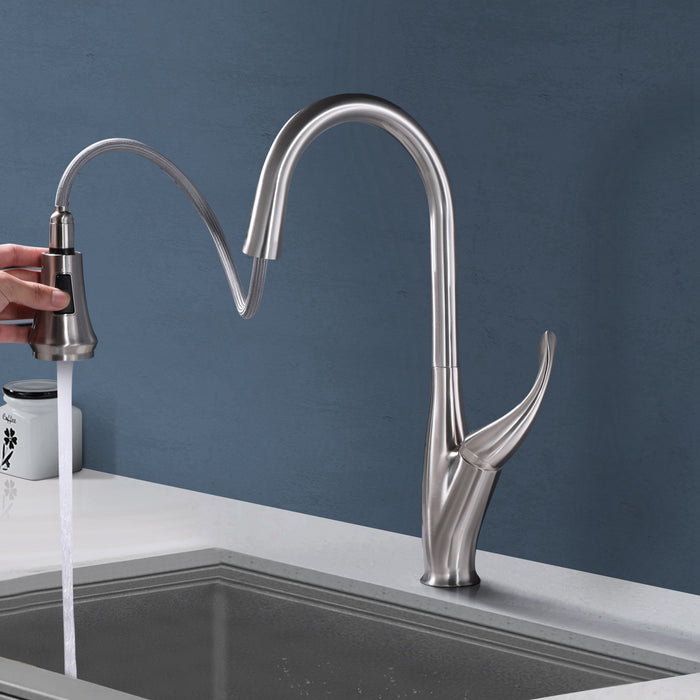Single-Handle 2-Spray Kitchen Faucet with Pull Down Sprayer Stainless Steel Faucet