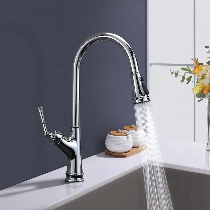 Kitchen Faucet with Pull Out Sprayer Singe-Handle Stainless Steel Faucet