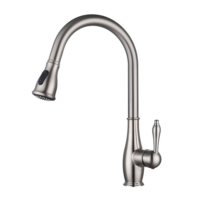 Single Handle Kitchen Faucet with Sprayer Pull Down Kitchen Faucet in Stainless Steel