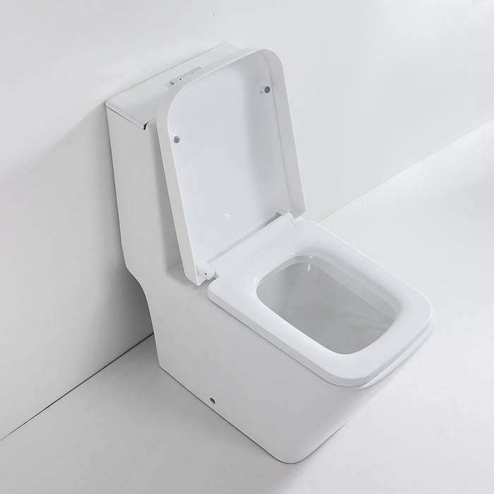 12" Rough-In 1 GPF Flush toilet Dual Flush Elongated Toilet 1-Piece White, Seat Included
